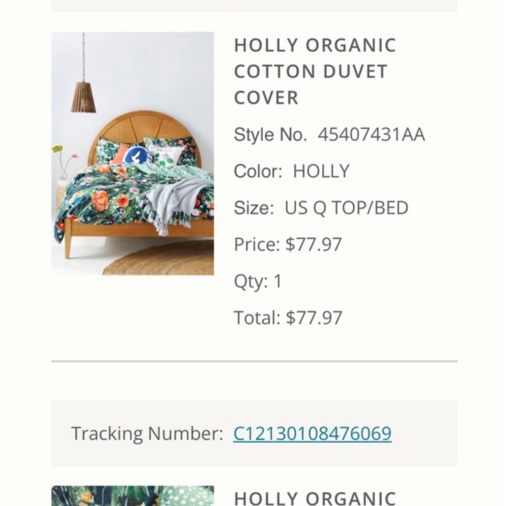 Anthropologie Queen Duvet